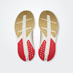 On Cloudsurfer Max                “YEAR OF THE HORSE”